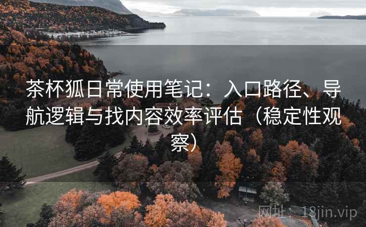 茶杯狐日常使用笔记：入口路径、导航逻辑与找内容效率评估（稳定性观察）