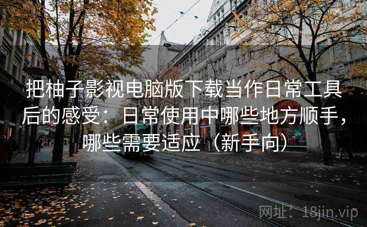 把柚子影视电脑版下载当作日常工具后的感受：日常使用中哪些地方顺手，哪些需要适应（新手向）