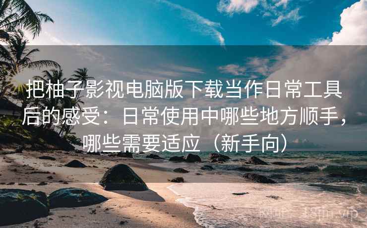 把柚子影视电脑版下载当作日常工具后的感受：日常使用中哪些地方顺手，哪些需要适应（新手向）